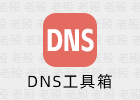 DNSTools 1.0.0.29 DNS工具箱