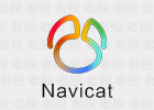 Navicat Pro 16.0.8 数据库管理工具