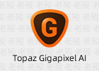 Topaz Gigapixel AI 5.8.0 图像无损放大